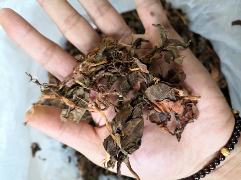 小叶金线莲.干货小叶.纯新货。全干