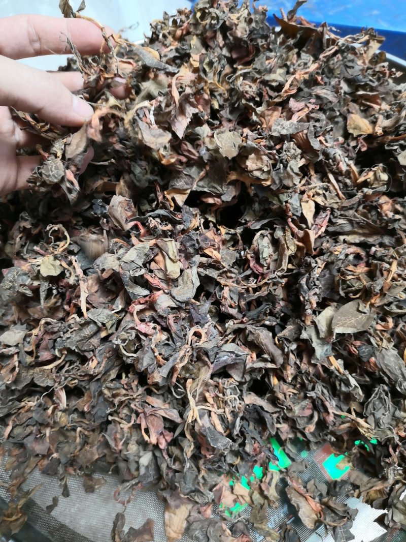 小叶金线莲.干货小叶.纯新货。全干