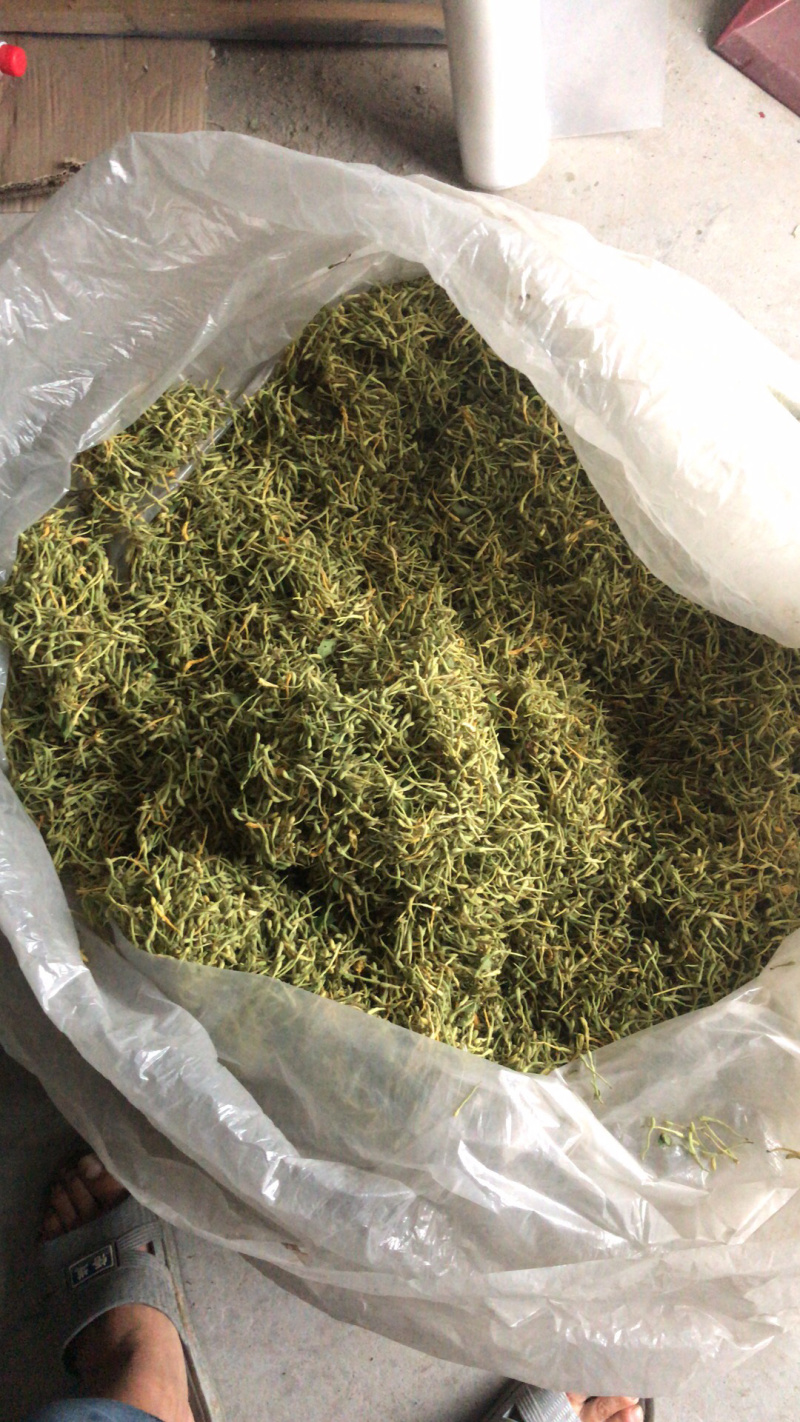 金银花