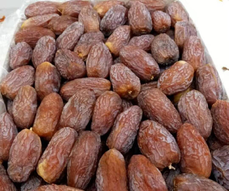沙特椰枣（沙漠中的面包）Majdul