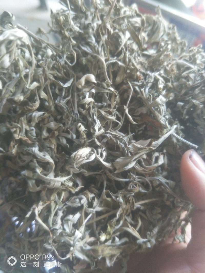 艾叶，纯野生，全叶。小艾叶，量大优惠
