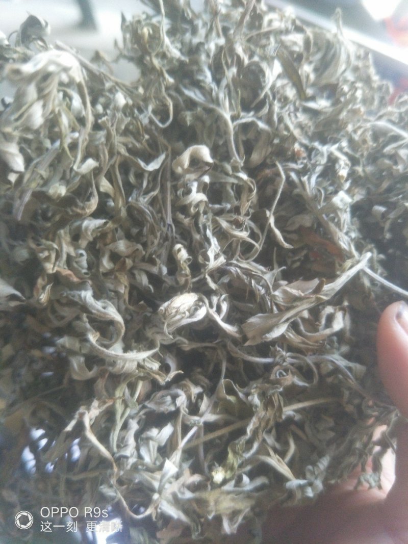 艾叶，纯野生，全叶。小艾叶，量大优惠