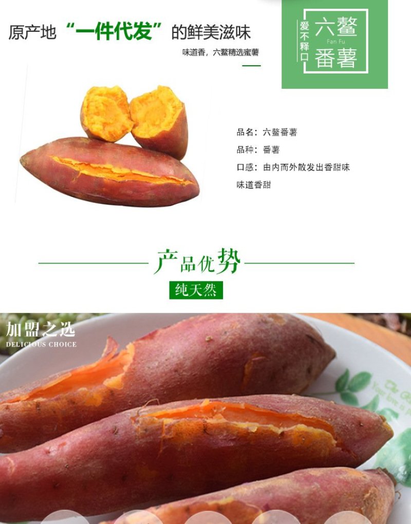 福建六鳌地瓜沙地红蜜薯糖心红薯新鲜包邮