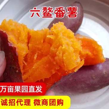 福建六鳌地瓜沙地红蜜薯糖心红薯新鲜包邮