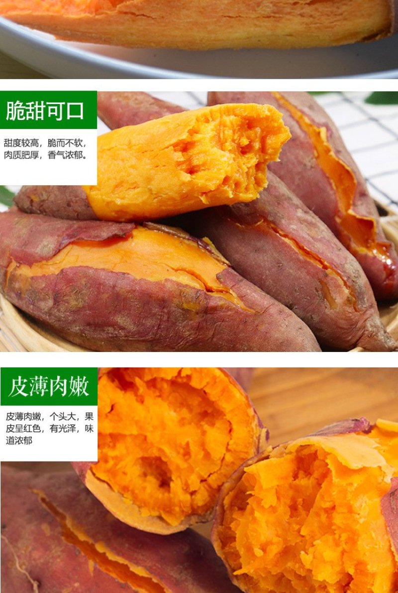 福建六鳌地瓜沙地红蜜薯糖心红薯新鲜包邮