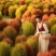 红叶地肤种子绿叶地肤草种子地麦铁扫帚苗菜种子园林花海种子