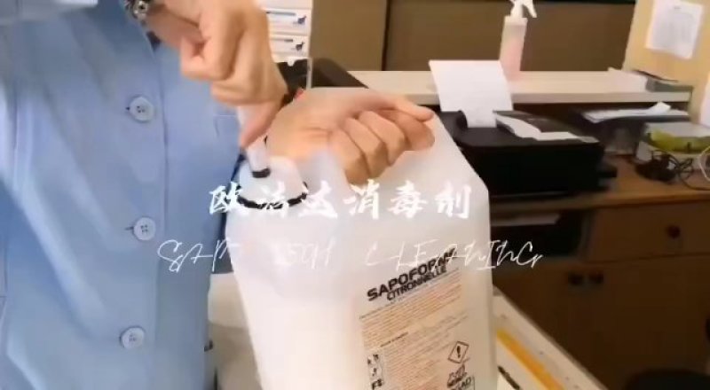 宠物猫