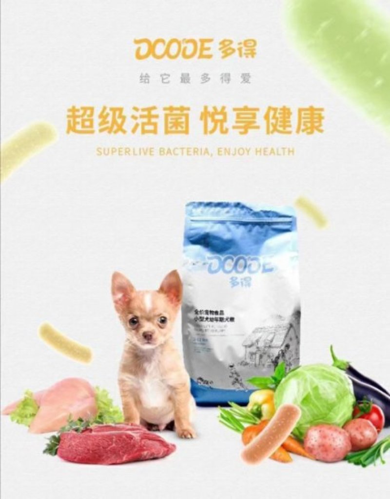 宠物猫