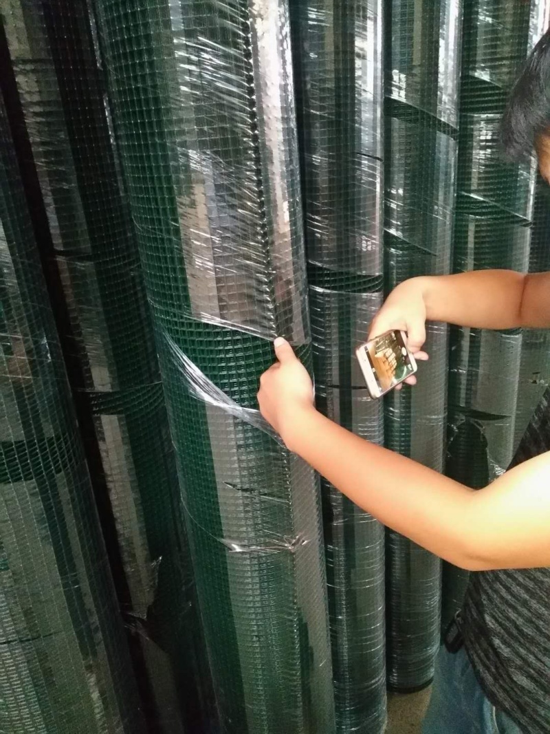 荷兰网养鸡网小孔养植物，果园围栏网荷兰网