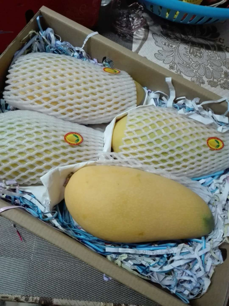 热带水果