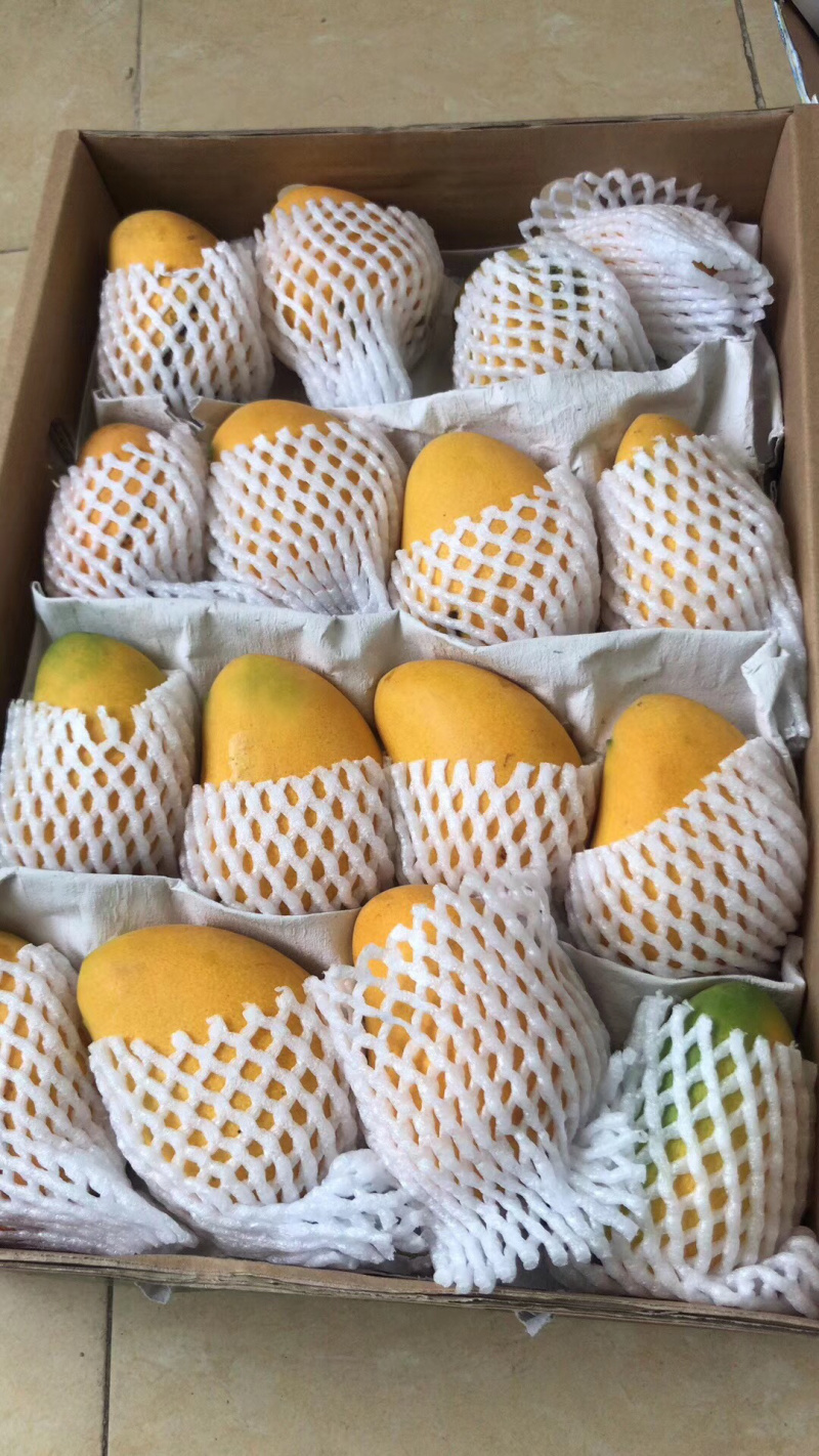 热带水果