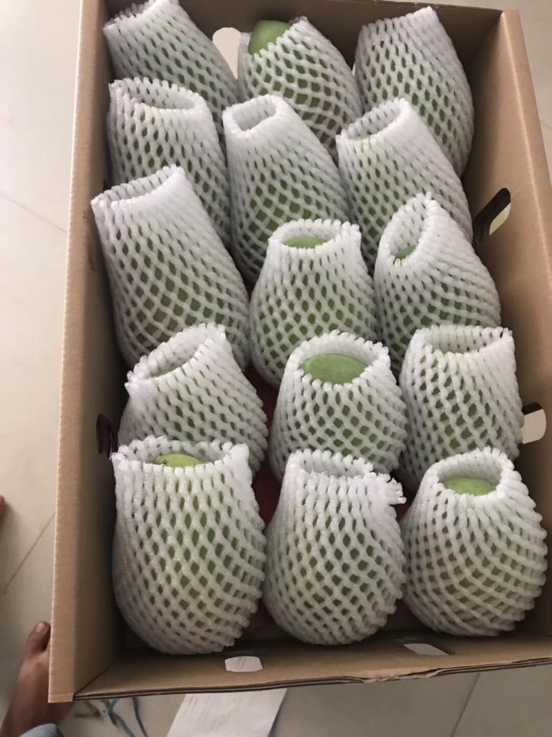热带水果