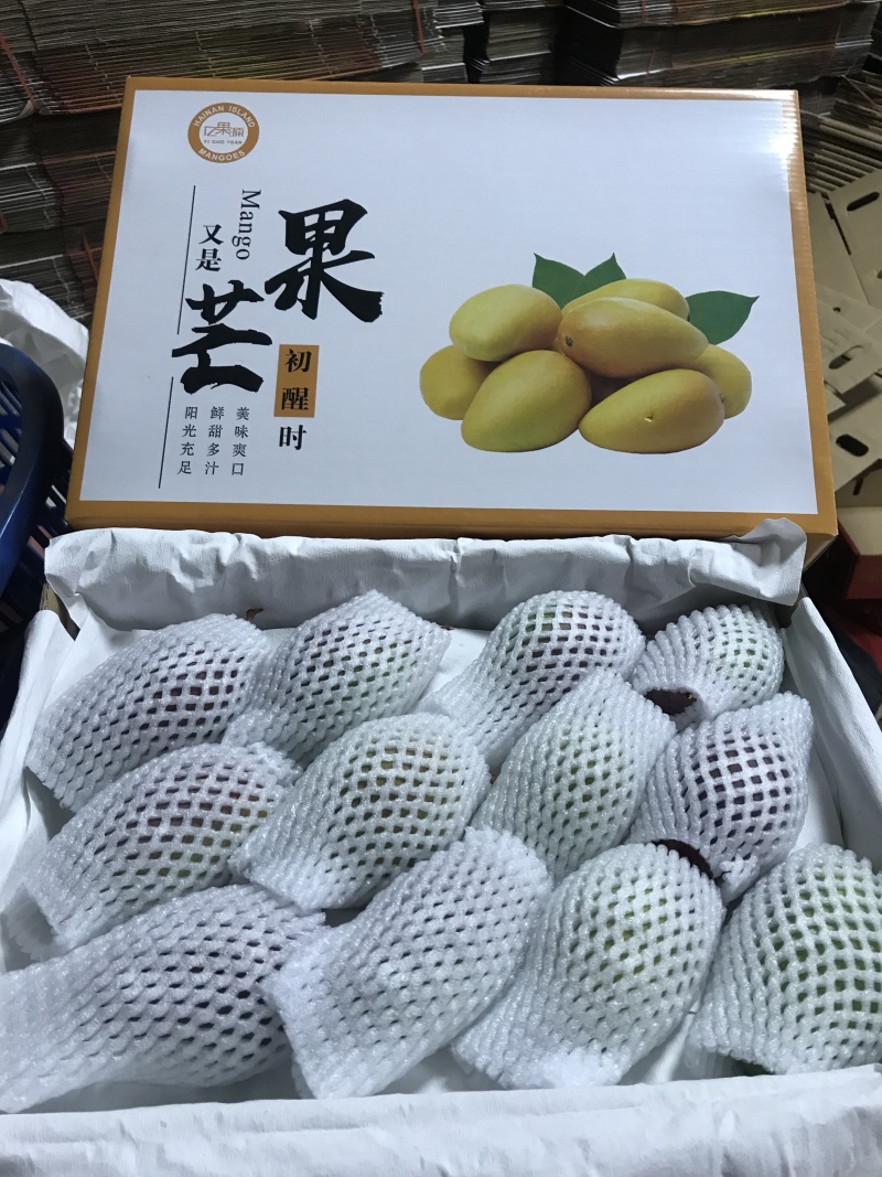 热带水果