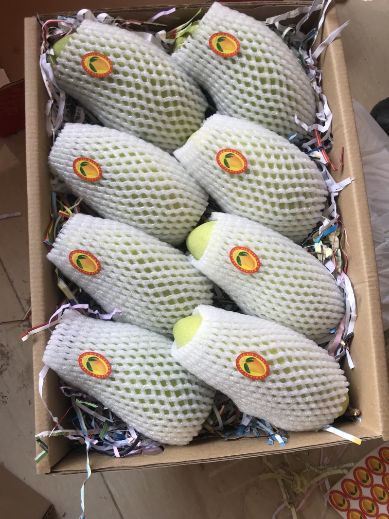 热带水果