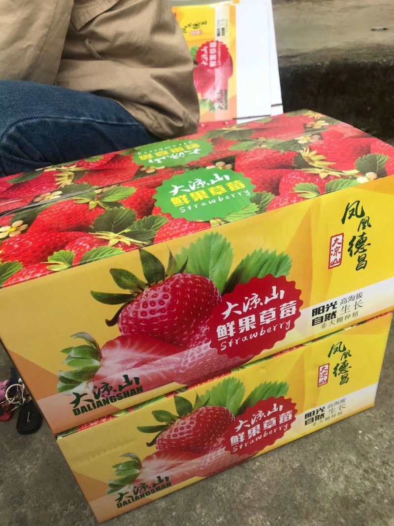 四川大凉山草莓口感香甜颜色亮果形美观