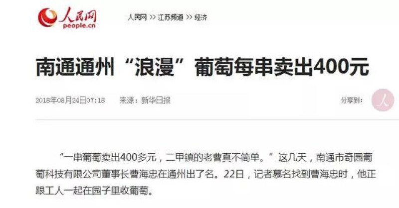 浪漫红颜葡萄苗，葡萄新品种，纯度保证，基地直发