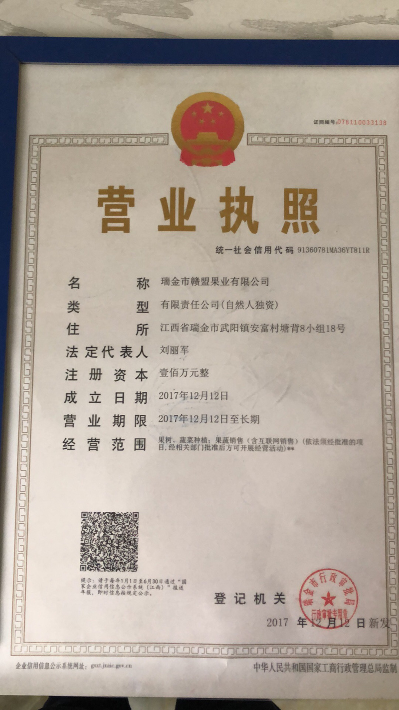 赣州黄桃苗基地现挖现发可视频和实地看货品种保证