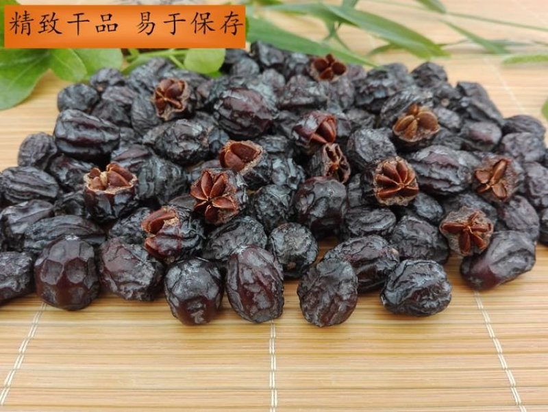 软枣苗