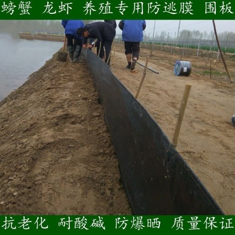 鱼塘蟹养殖小龙虾防逃网定做防逃膜加厚定制围网防渗膜塑料网