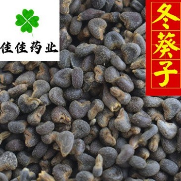 冬葵子冬葵果无硫选货新货产地直销供应各种中药