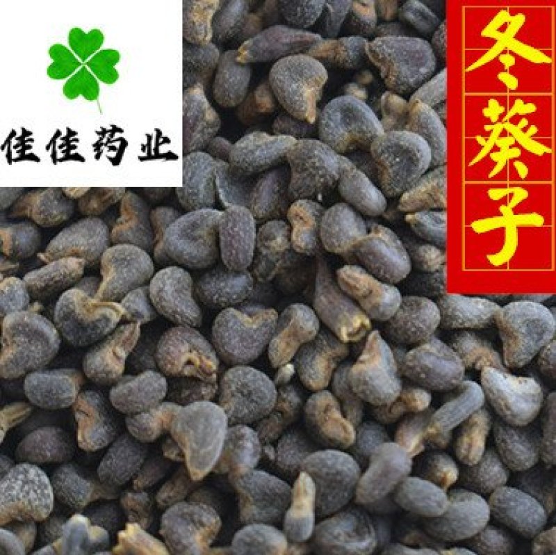 冬葵子冬葵果无硫选货新货产地直销供应各种中药