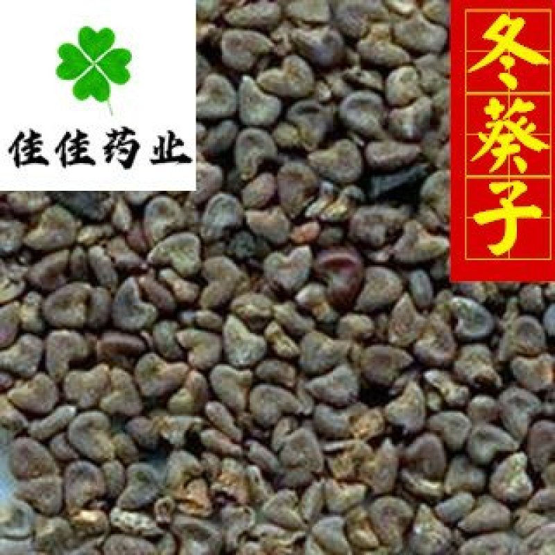 冬葵子冬葵果无硫选货新货产地直销供应各种中药