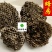 蜂房蜂窝家蜂房山蜂房马蜂窝软蜂房包邮含量高
