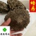 蜂房蜂窝家蜂房山蜂房马蜂窝软蜂房包邮含量高