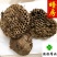 蜂房蜂窝家蜂房山蜂房马蜂窝软蜂房包邮含量高