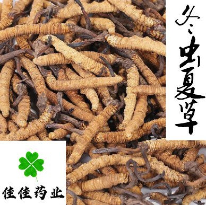 虫草冬虫夏草野生那曲高海拔1克4根正品