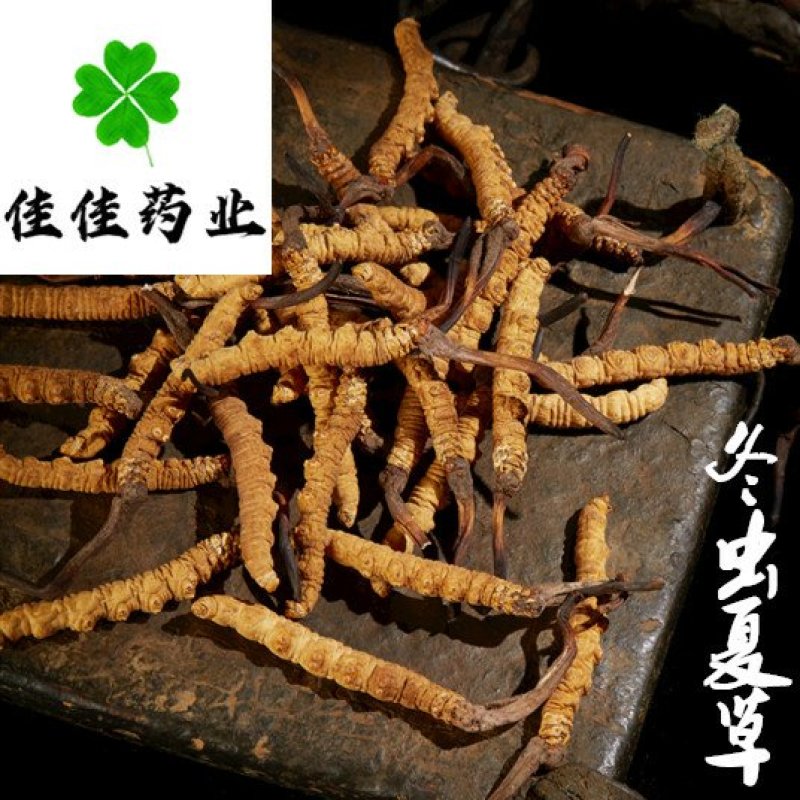 虫草冬虫夏草野生那曲高海拔1克4根正品
