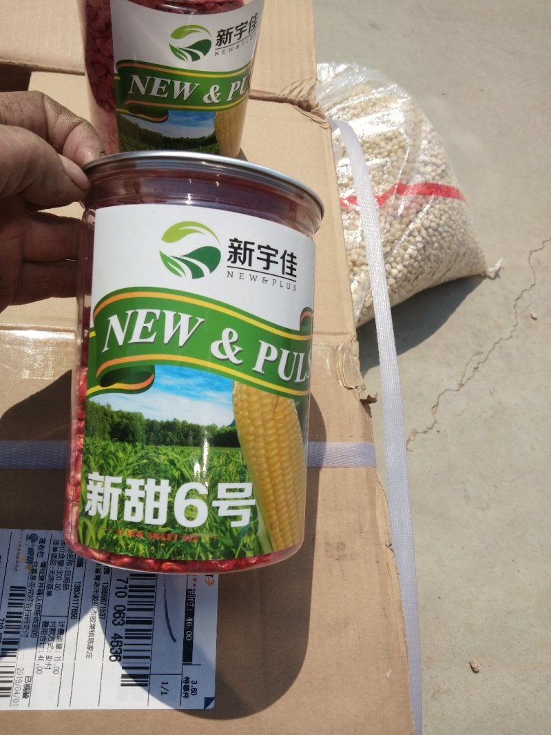 各种糯玉种子，质量保证绝，无欺骗，请放心种植