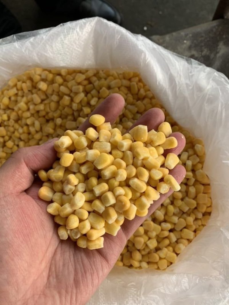 自己种植基地速冻水果玉米粒