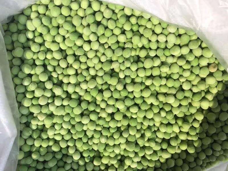 自己种植基地速冻豌豆