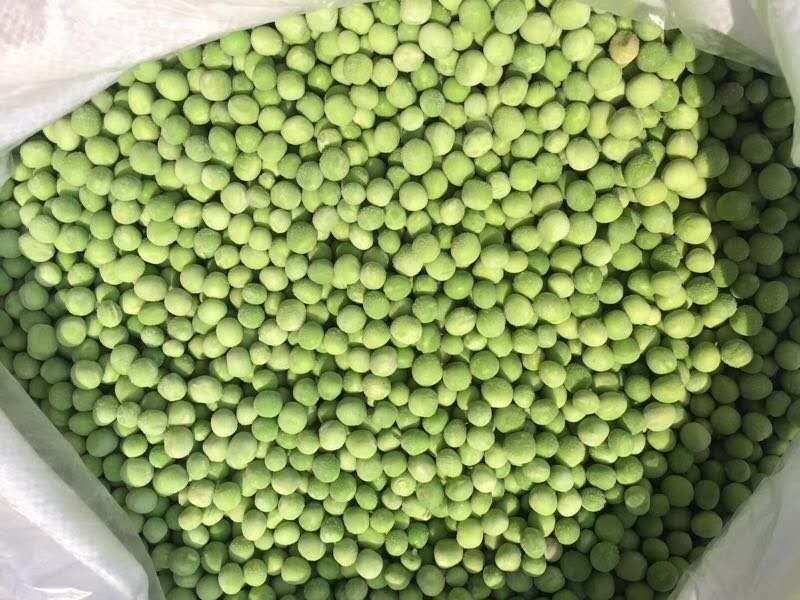 自己种植基地速冻豌豆