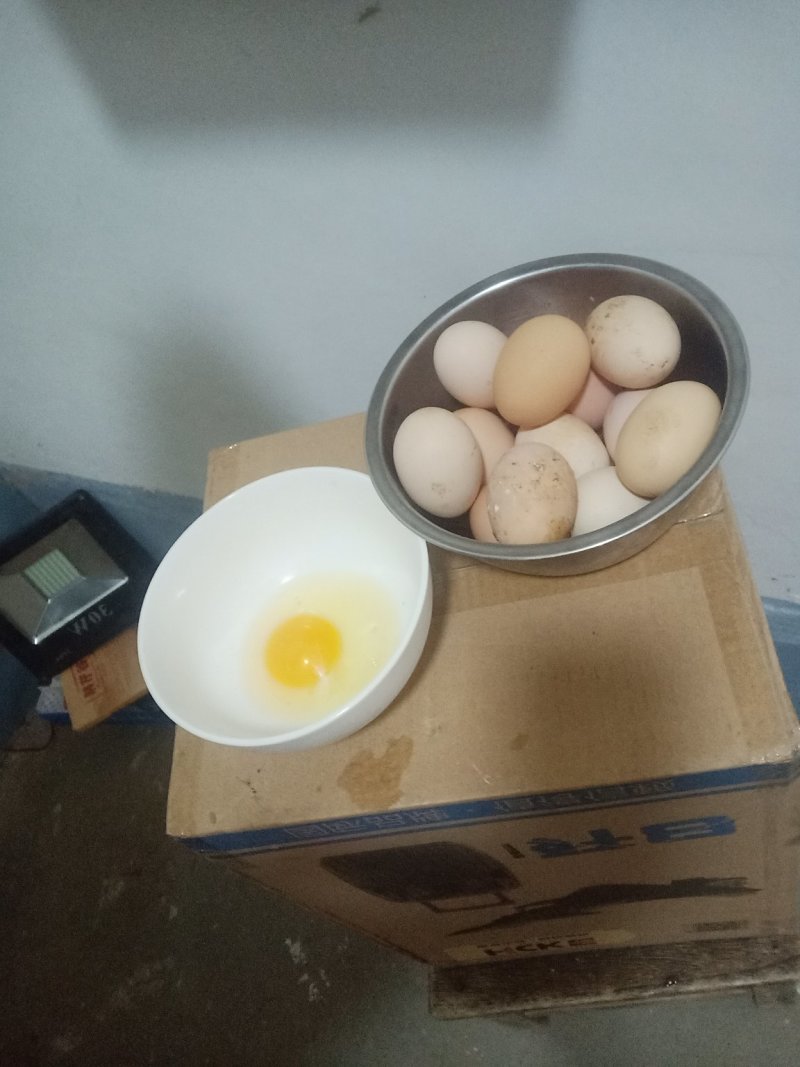 土鸡蛋假一个我不是人