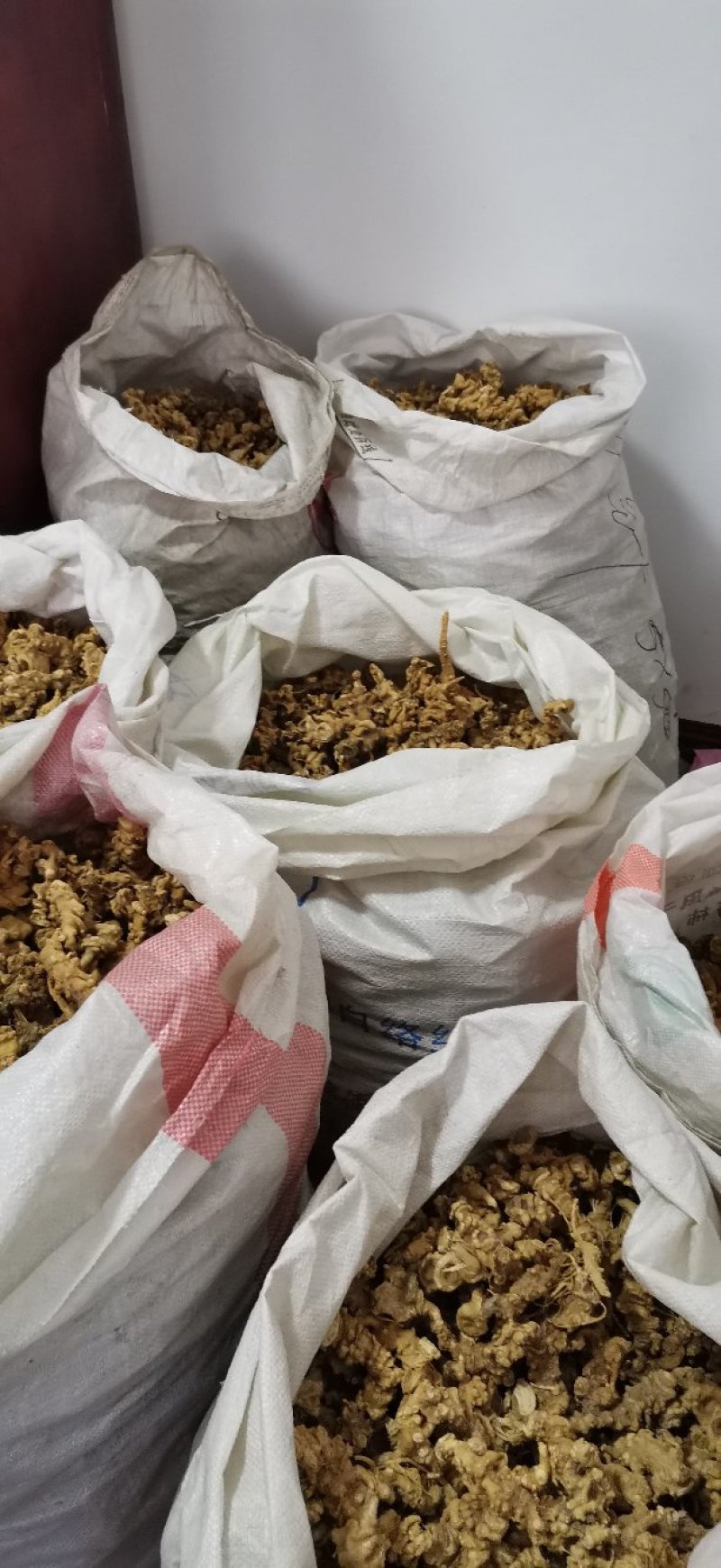 中药材，竹节参（白三七），大叶竹节参，大块茎，干度合格