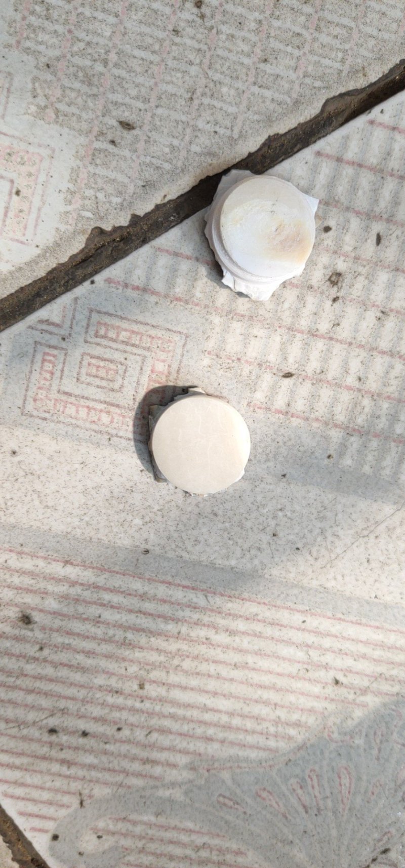 河蚌壳