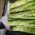 大白菜，儿菜，包菜