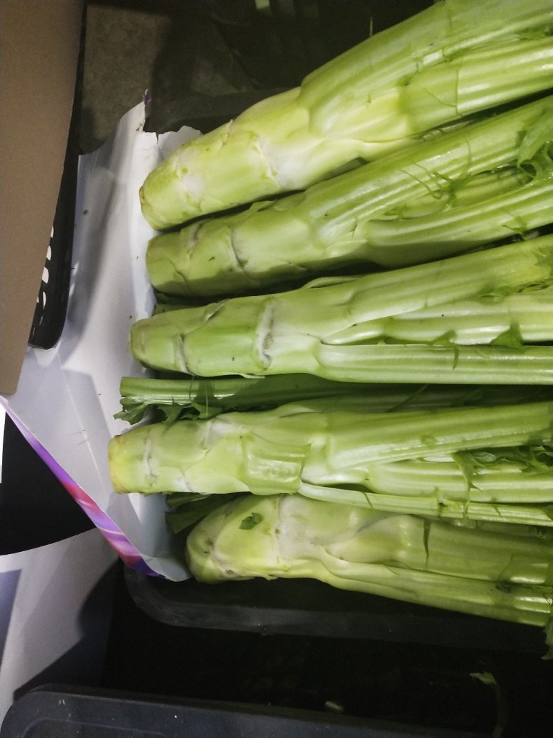 大白菜，儿菜，包菜