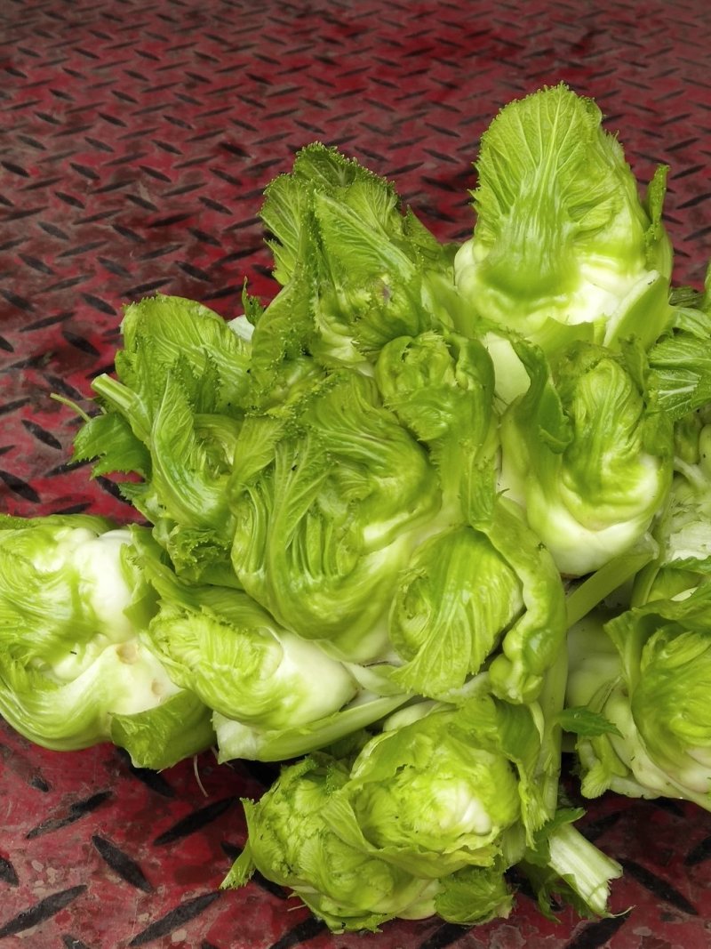 大白菜，儿菜，包菜