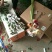 玫瑰鲜花精品礼品盒生日教师老婆毕业庆爱人朋友同学闺蜜祝福