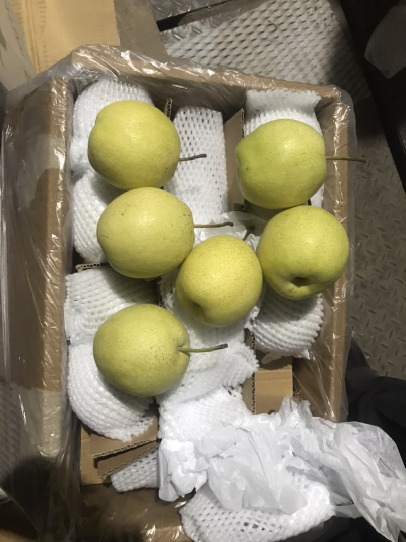 【诚信经营】赵县雪花梨一手货源充足全国发货品质保证