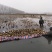莲藕鄂莲6号莲藕产地直发量大从优欢迎选购新藕上市！