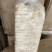 精选竹荪，2020古田新货粗头好货