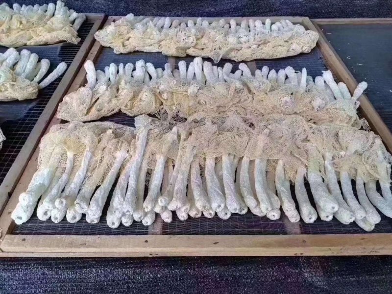 精选竹荪，2020古田新货粗头好货