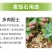 多肉颗粒土黄金软麦饭石颗粒通用介质铺面石家庭种植花草多肉