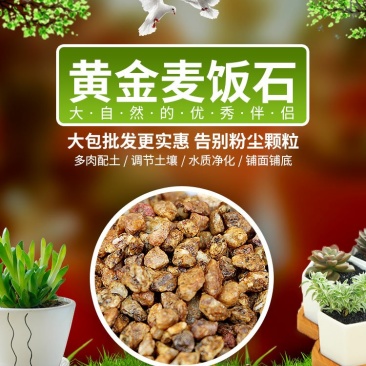 多肉颗粒土黄金软麦饭石颗粒通用介质铺面石家庭种植花草多肉