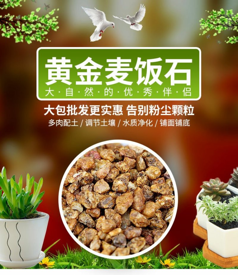 多肉颗粒土黄金软麦饭石颗粒通用介质铺面石家庭种植花草多肉