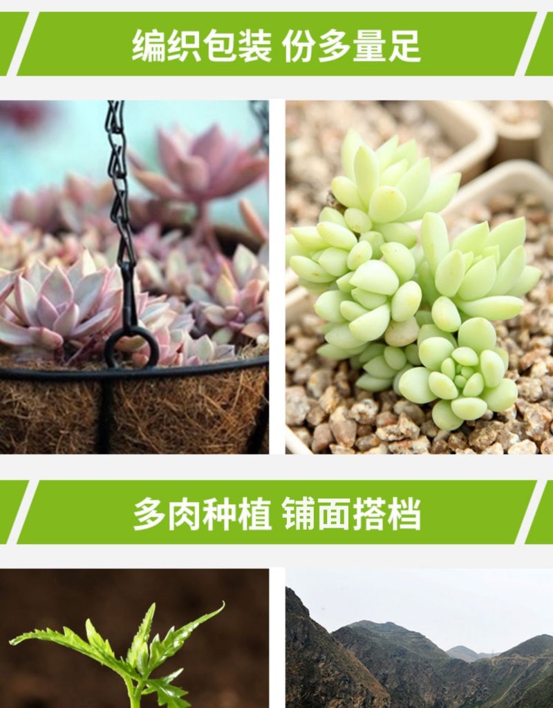 多肉颗粒土黄金软麦饭石颗粒通用介质铺面石家庭种植花草多肉
